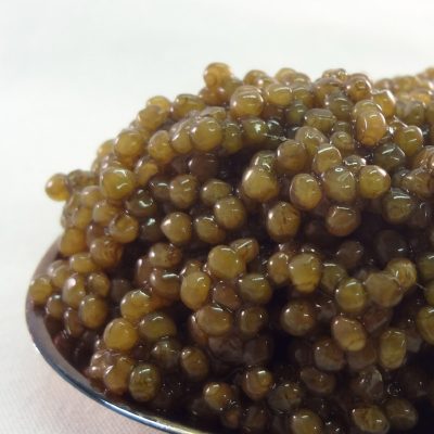 Caviar